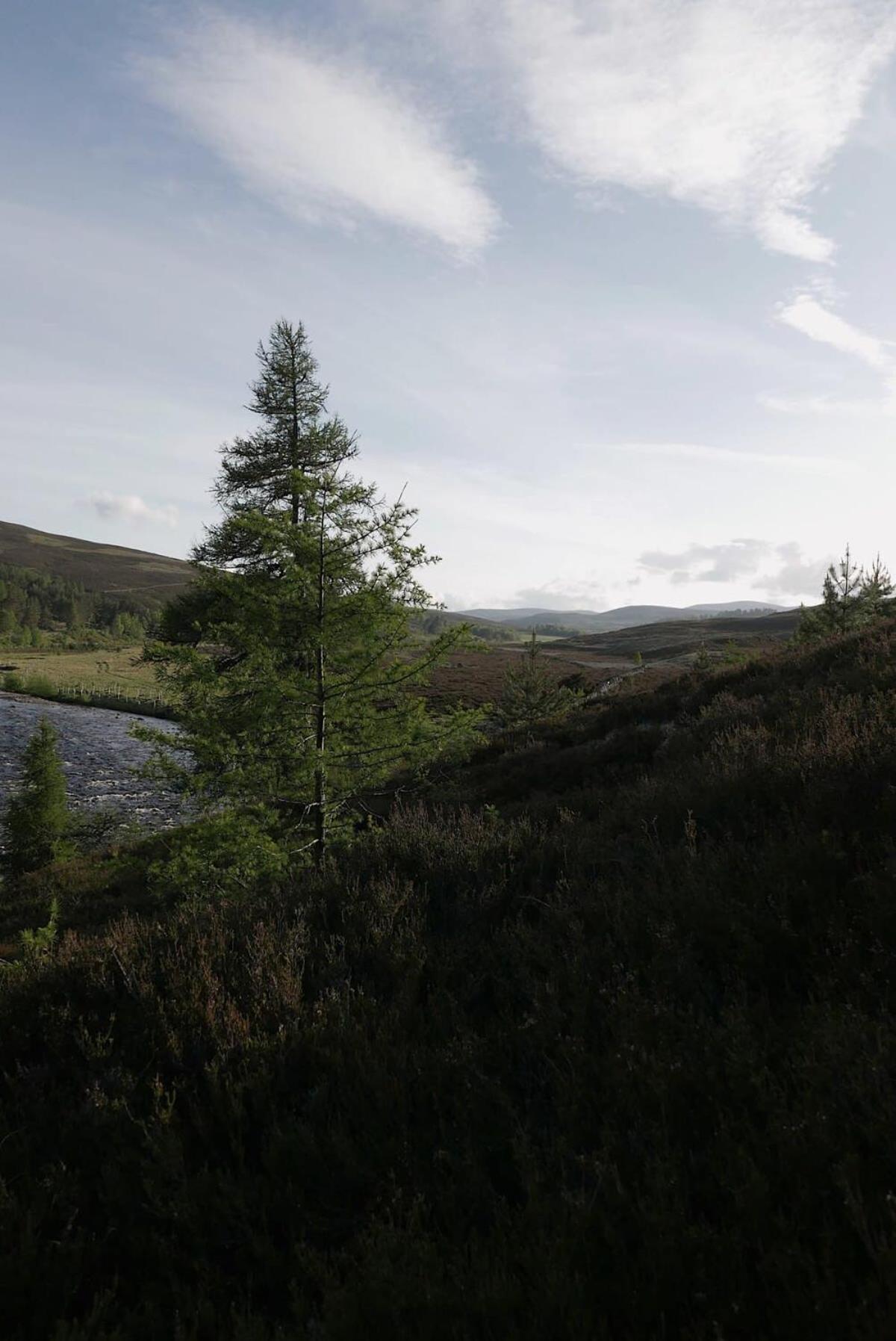 Huswell - Gairnshiel Lodge - Unique & Exclusive Lodge Next To The Castle Ballater Eksteriør bilde